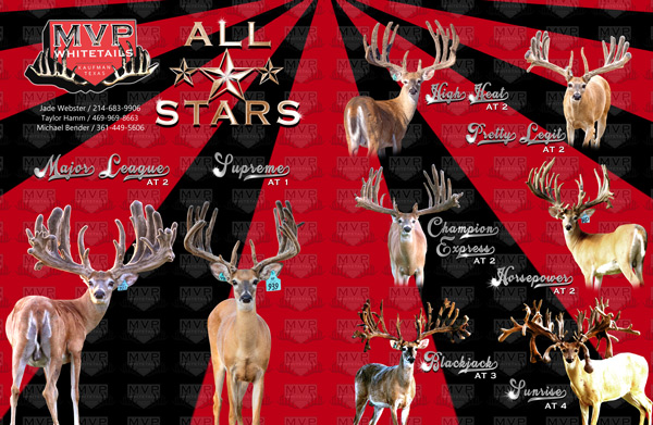 MVP All Stars Deer Breeding Ad