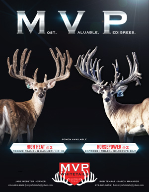 Most Valuable Deer Pedigrees - An MVP Whitetails Ad