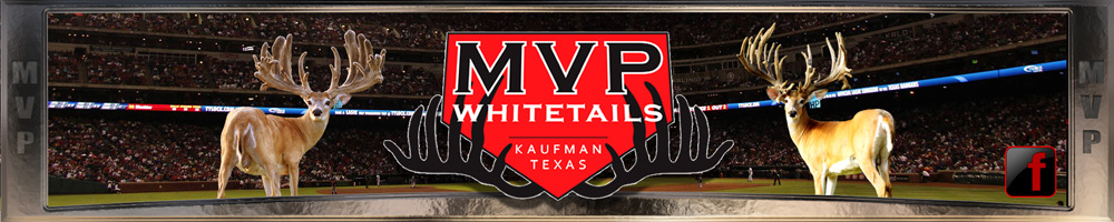 MVP WHITETAILS - TX Whitetail Deer Breeding.