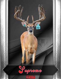 Supreme - MVP Whitetail Ranch Deer Breeder